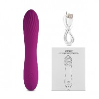 10 Speeds Rechargeable Silicone Purple Vibrator